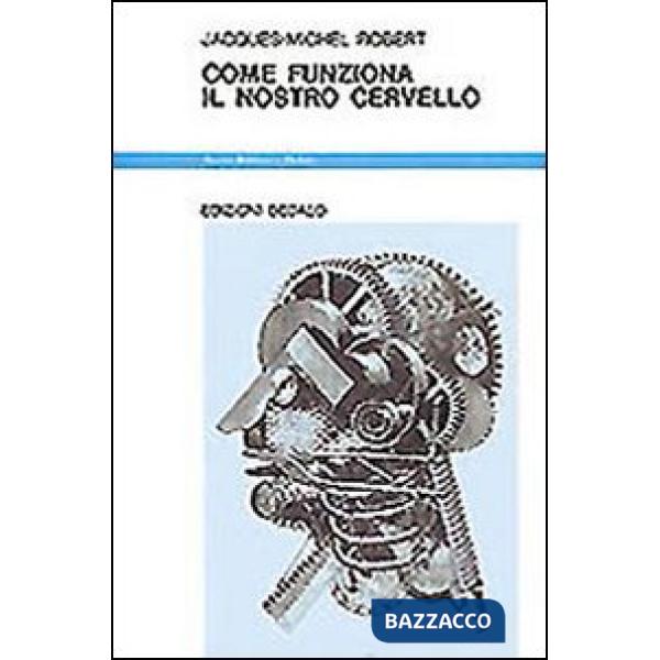 Come funziona il nostro cervello