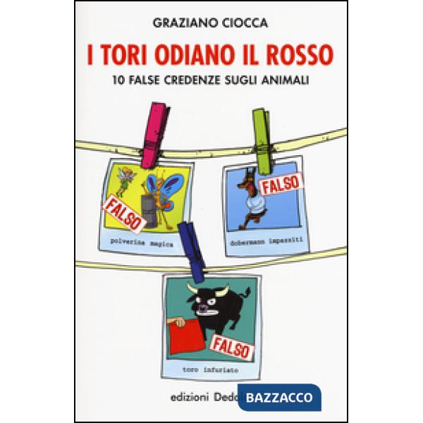Tori odiano il rosso. 10 false credenze sugli animali (I)