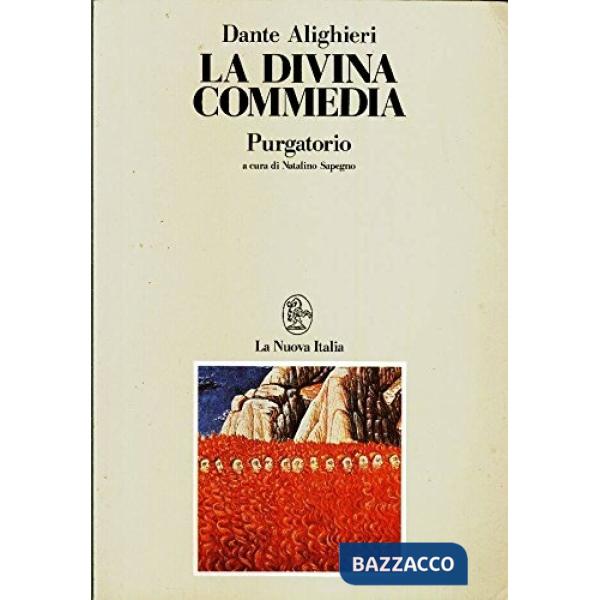 DIVINA COMMEDIA (SAPEGNO) PURGATORIO