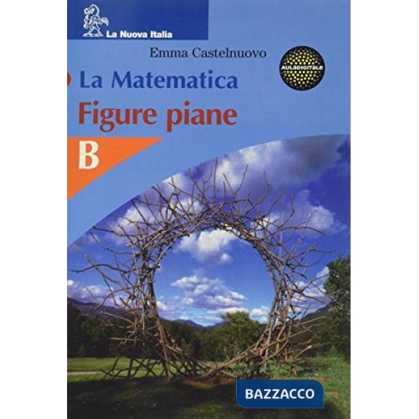 MATEMATICA FIGURE PIANE B
