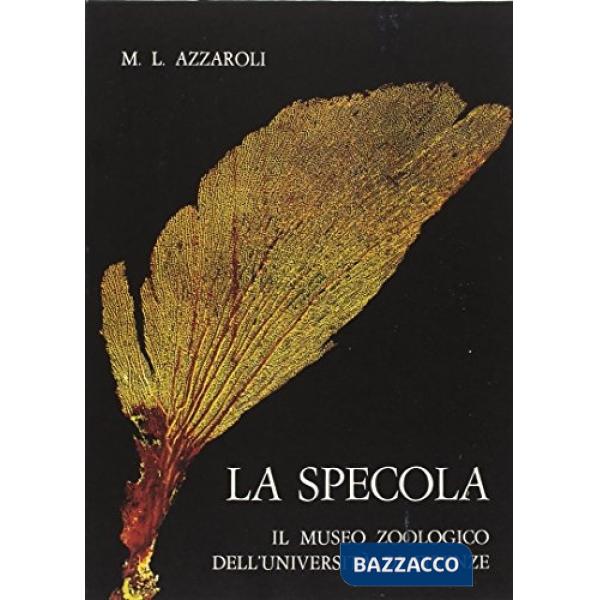 Specola. The Zoological Museum of Florence University (La)