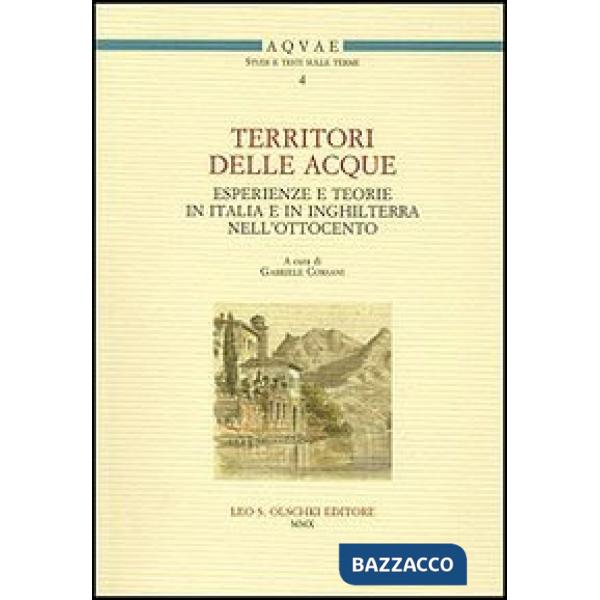 Territori delle acque. Esperienze e teorie in Italia e in Inghilterra nell'Ottocento