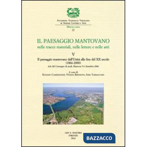 Paesaggio mantovano nelle tracce materiali, nelle lettere e nelle arti. Atti del Convegno di studi (Mantova, 5-6 dicembre 2006) 