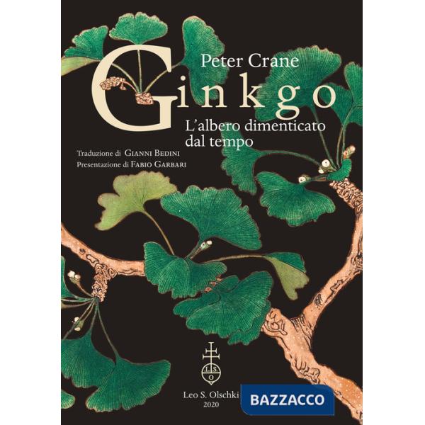 Ginkgo. L'albero dimenticato dal tempo
