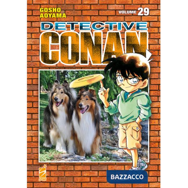 Detective Conan. New edition. Vol. 29