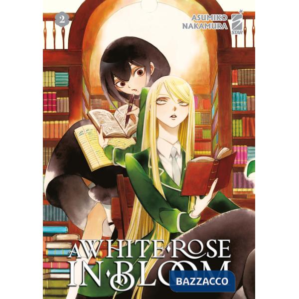 White rose in bloom (A). Vol. 2