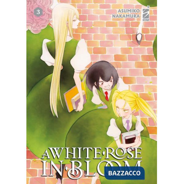 White rose in bloom (A). Vol. 3