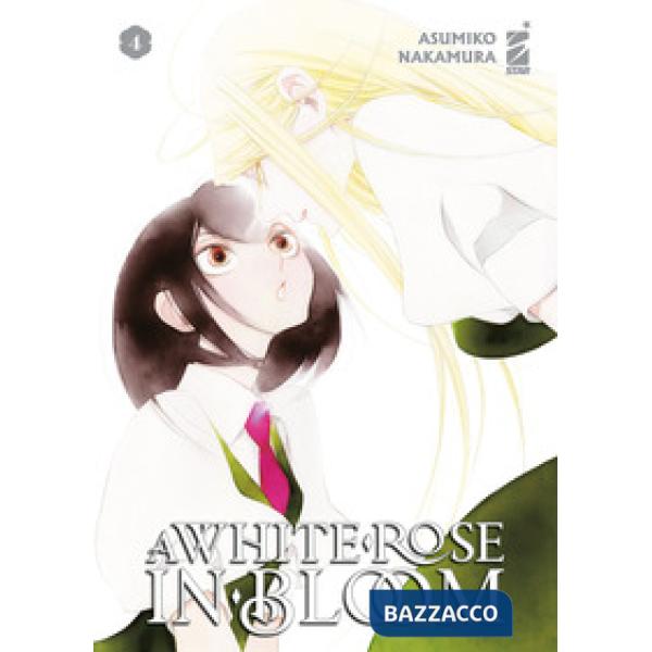 White rose in bloom (A). Vol. 4