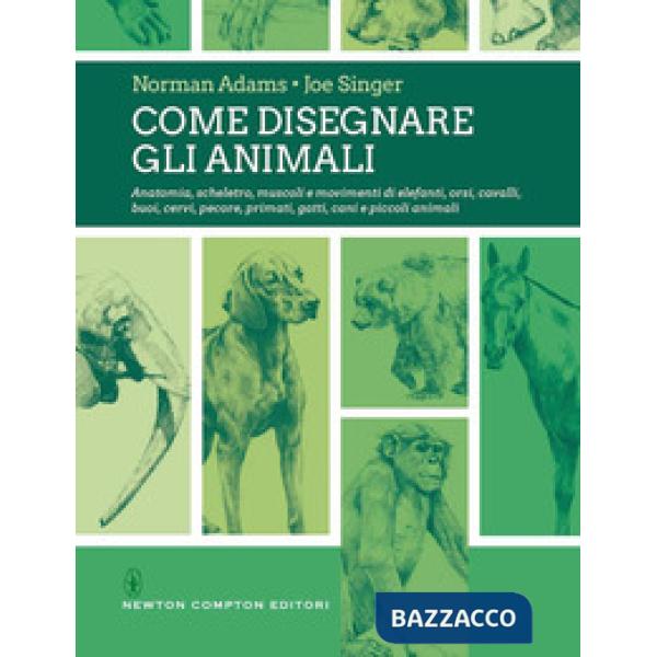 Come disegnare gli animali