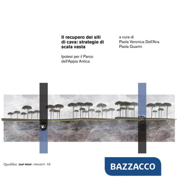 Recupero dei siti di cava: strategie di scala vasta. Ipotesi per il Parco dell'Appia Antica. Ediz. illustrata (Il)