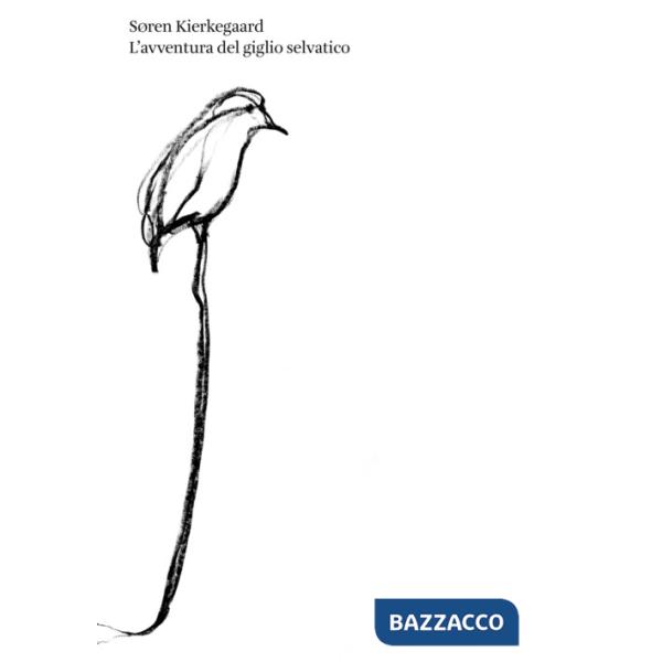 Avventura del giglio selvatico (L')