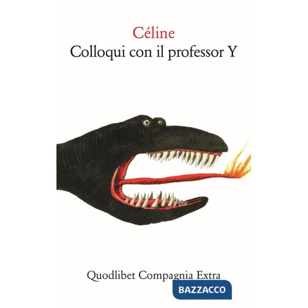 Colloqui con il professor Y