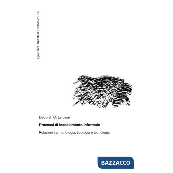 Processi di insediamento informale. Relazioni tra morfologia, tipologia e tecnologia
