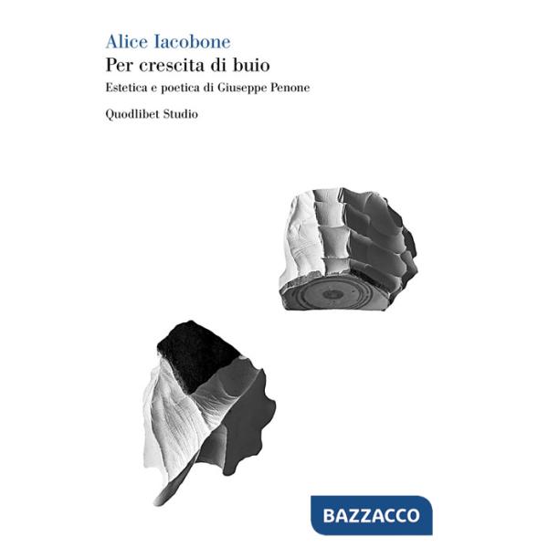 Per crescita di buio. Estetica e poetica di Giuseppe Penone