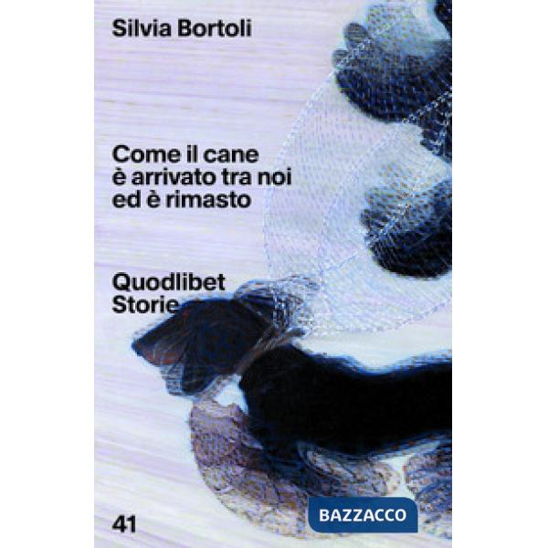 Come il cane è arrivato tra noi ed è rimasto