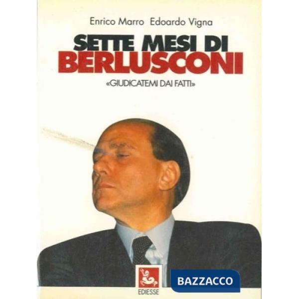 Sette mesi di Berlusconi