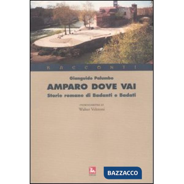 Amparo dove vai. Storie romane di badanti e badati