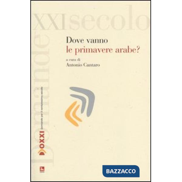 Dove vanno le primavere arabe?