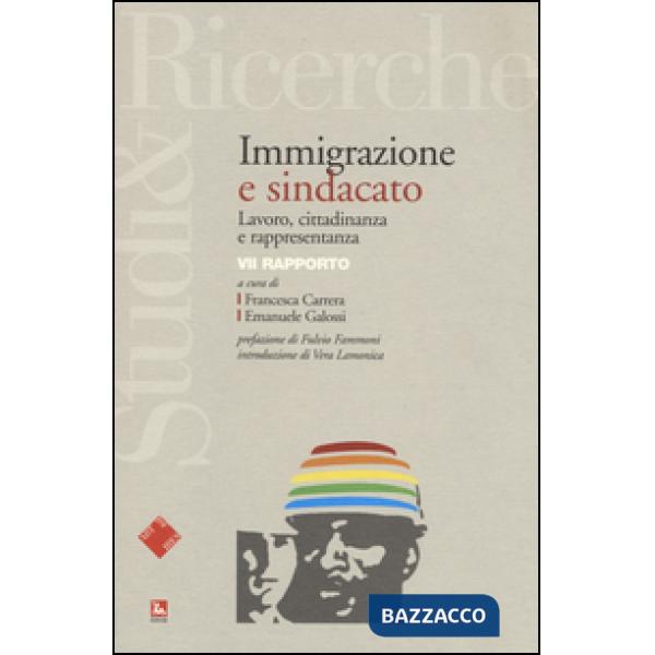 Immigrazione e sindacato. Lavoro, cittadinanza e rappresentanza. 7° rapporto IRES