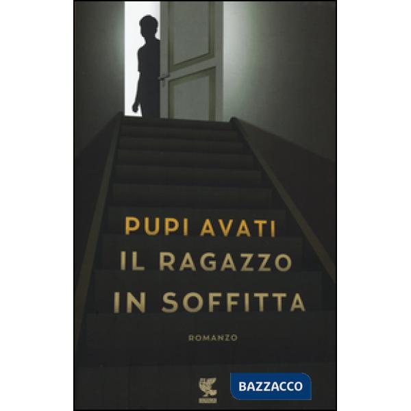 Ragazzo in soffitta (Il)