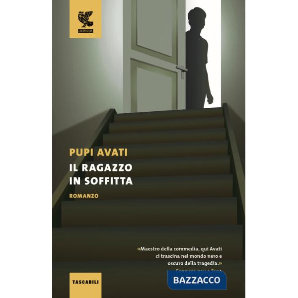 Ragazzo in soffitta (Il)