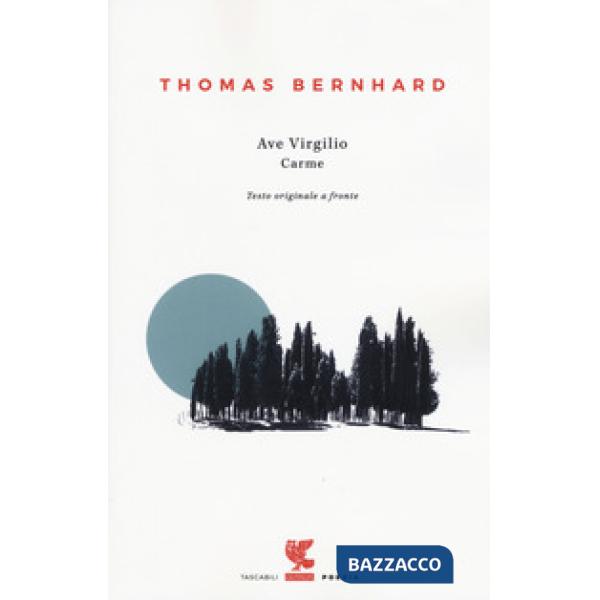 Ave Virgilio. Carme. Testo tedesco a fronte