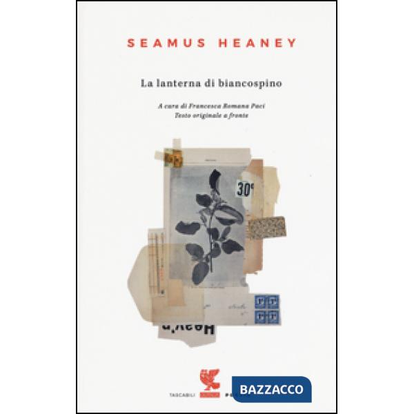 Lanterna di biancospino (La)