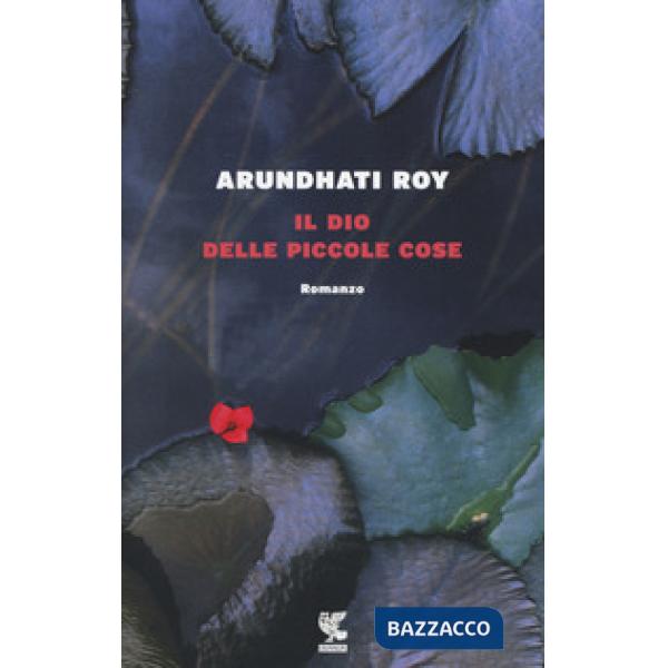 Dio delle piccole cose (Il)