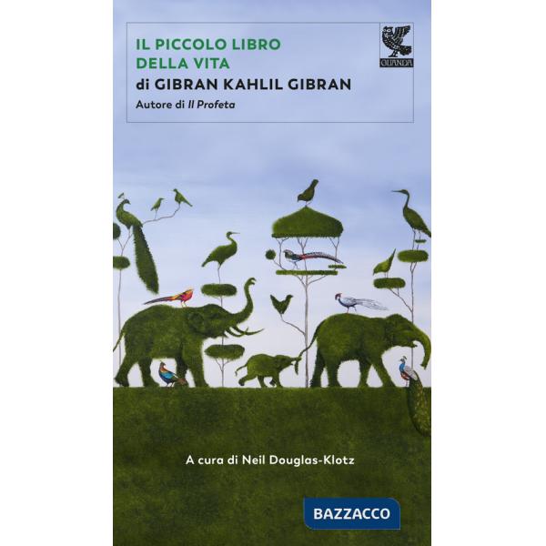 Piccolo libro della vita (Il)