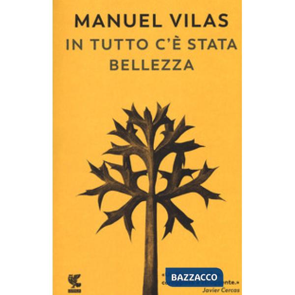 In tutto c'è stata bellezza