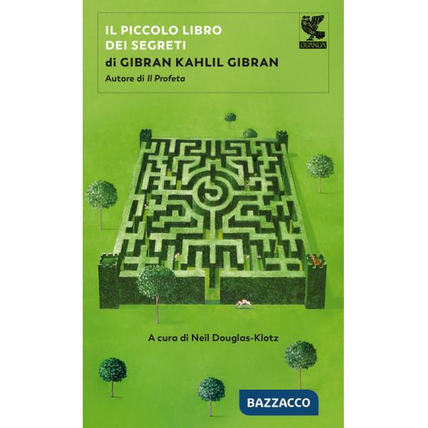 Piccolo libro dei segreti (Il)