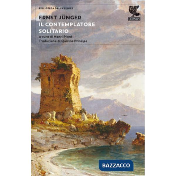 Contemplatore solitario (Il)