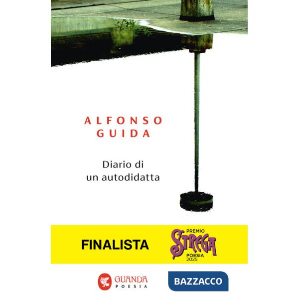 Diario di un autodidatta