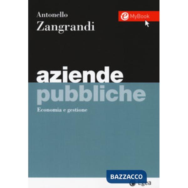 Aziende pubbliche. Economia e gestione. Con Contenuto digitale per accesso online