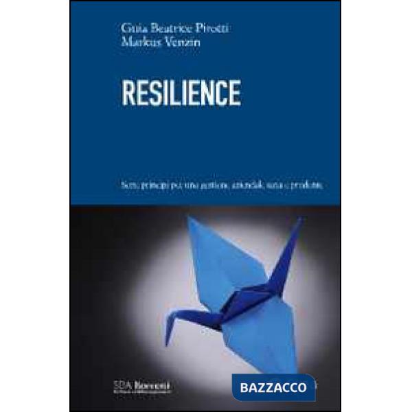 Resilience. Sette principi per una gestione aziendale sana e prudente