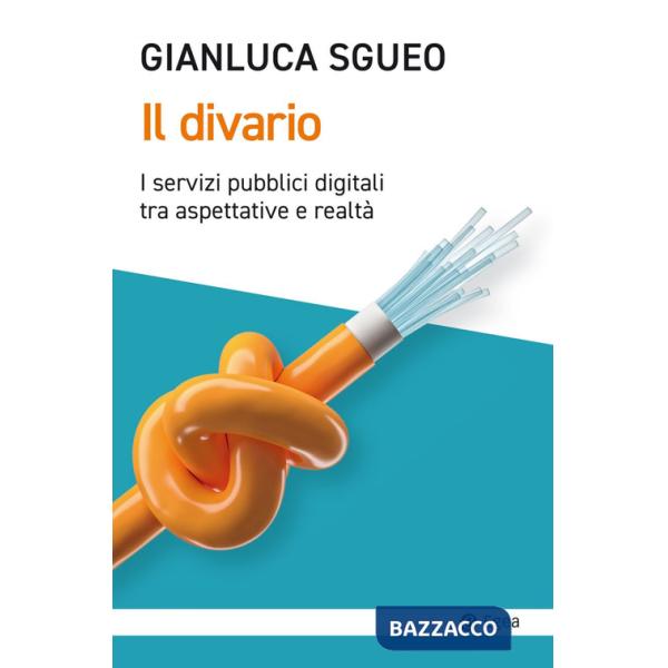 Divario. I servizi pubblici digitali tra aspettative e realtà (Il)