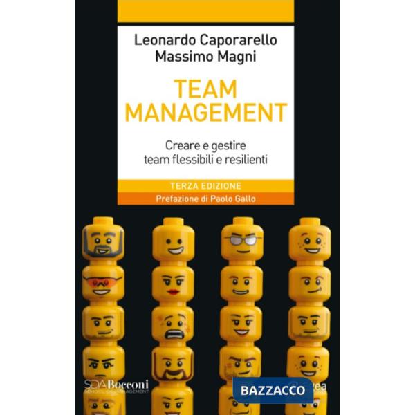 Team management. Come gestire e migliorare il lavoro di squadra
