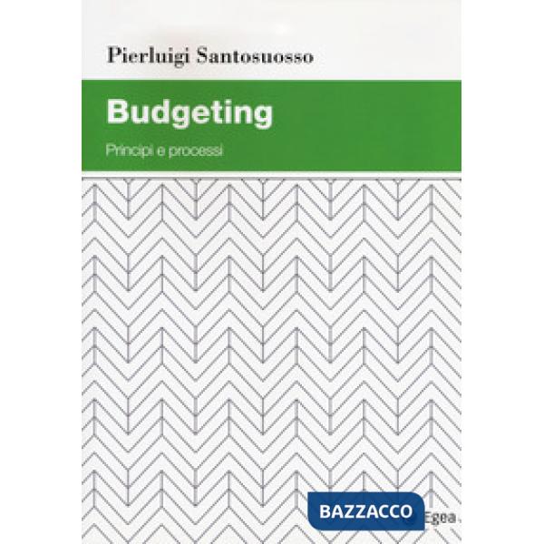 Budgeting. Principi e processi
