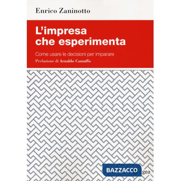 Impresa che esperimenta. Come usare le decisioni per imparare (L')