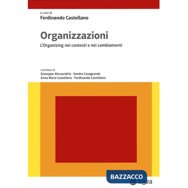 Organizzazioni. L'organizing nei contesti e nei cambiamenti