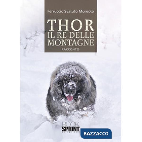 Thor il re delle montagne