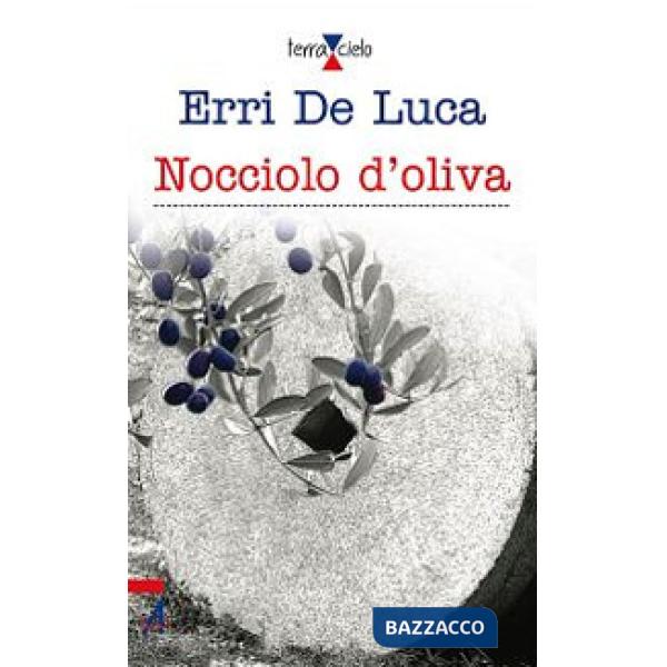 Nocciolo d'oliva