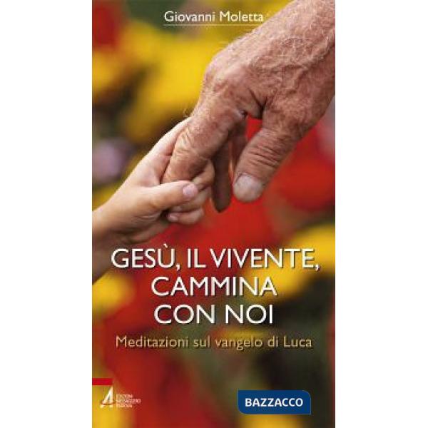 Gesù, il vivente, cammina con noi. Meditazioni sul Vangelo di Luca