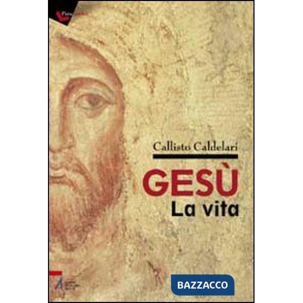 Gesù: la vita. Biografia e pagine evangeliche per dubbiosi e non credenti