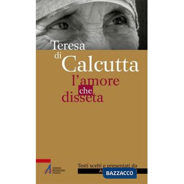 Teresa di Calcutta. L'amore che disseta