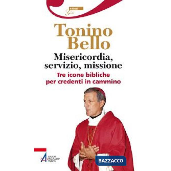 Misericordia, servizio, missione. Tre icone bibliche per credenti in cammino