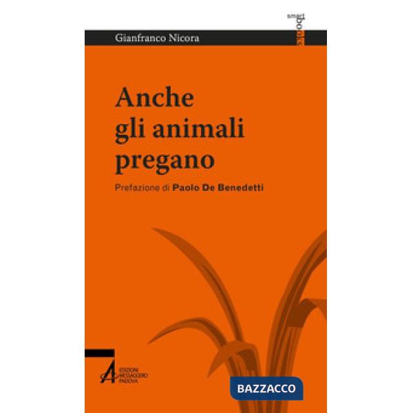 Anche gli animali pregano