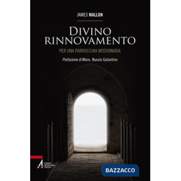 Divino rinnovamento. Per una parrocchia missionaria