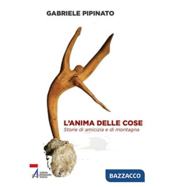 Anima delle cose. Storie di amicizia e di montagna (L')