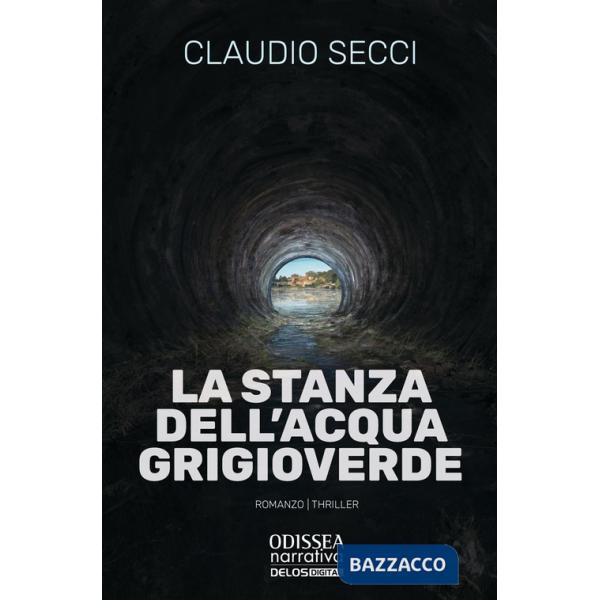 Stanza dell'acqua grigioverde (La)